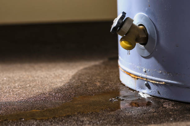 Best Mold removal after water damage  in Dundalk, MD