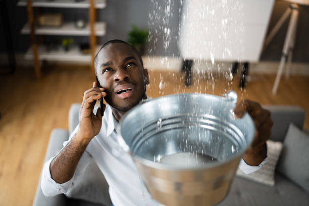 Best Basement water damage restoration  in Dundalk, MD