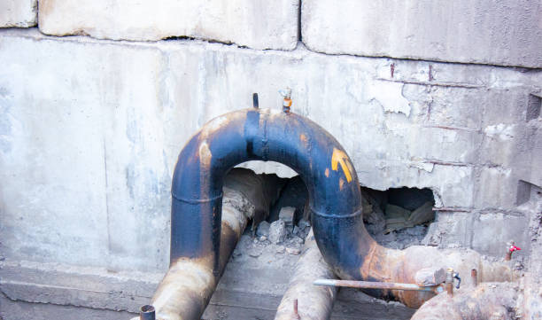 Best Flood damage cleanup  in Dundalk, MD